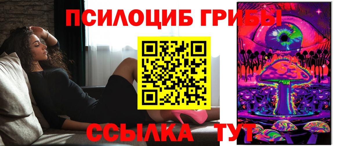 Галлюциногенные грибы Psilocybe  Вход с VPN  Ялуторовск 